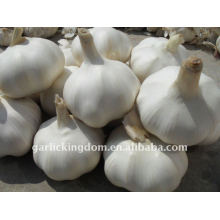 sell 2011 shandong garlic